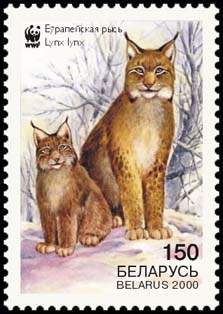 2000._Stamp_of_Belarus_0381.jpg