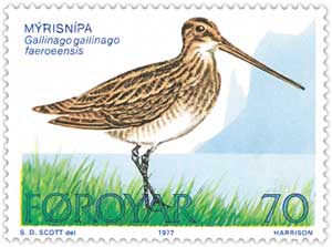 Faroe_stamp_022_common_snipe.jpg