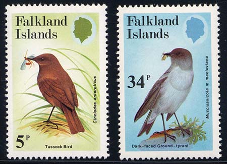 Skap-falkland_is_04_birds.jpg