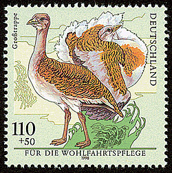 Stamp_Germany_1998_MiNr2016_Wohlfahrt_Gro%25C3%259Ftrappe.jpg