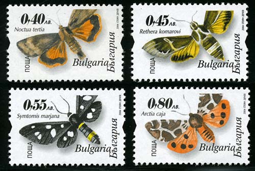 Skap-bulgaria_21_moths.jpg