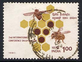 Skap-india_03_bee.jpg