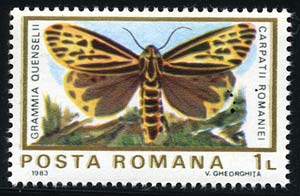 Skap-romania_18_moth.jpg