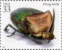 Colnect-201-330-Rainbow-Scarab-Beetle-Phanaeus-vindex-.jpg