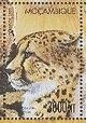 Colnect-5128-738-Acinonyx-jubatus.jpg