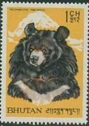 Colnect-866-505-Himalayan-Black-Bear-Ursus-thibethanus.jpg