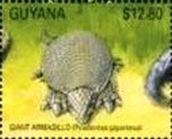 Colnect-3503-679-Giant-Armadillo-Priodontes-maximus.jpg