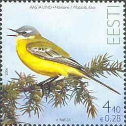 Colnect-190-581-Yellow-Wagtail-Motacilla-flava.jpg