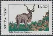 Colnect-4335-422-Kudu-Tragelaphus-strepsiceros.jpg