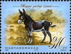 Colnect-500-559-Hungarian-Parlag-Donkey-Equus-asinus-asinus.jpg