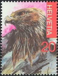 Colnect-528-226-Golden-Eagle-Aquila-chrysaetos.jpg