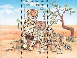 Colnect-197-364-Cheetah-Acinonyx-jubatus.jpg