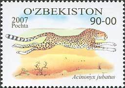 Colnect-843-832-Cheetah-Acinonyx-jubatus.jpg