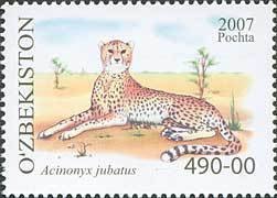 Colnect-843-833-Cheetah-Acinonyx-jubatus.jpg