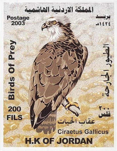 Colnect-1646-664-Short-toed-Snake-Eagle-Circaetus-gallicus.jpg