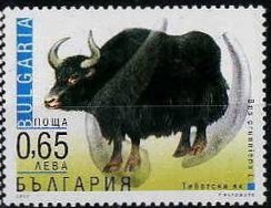 Colnect-1823-797-Yak-Bos-grunniens.jpg