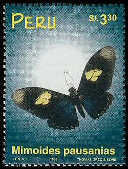 Colnect-1683-363-Pausanias-Swallowtail-Mimoides-pausanias.jpg