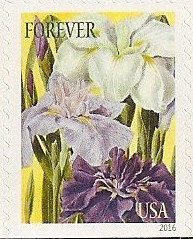 Colnect-3148-725-Botanical-Art---Japanese-Iris.jpg