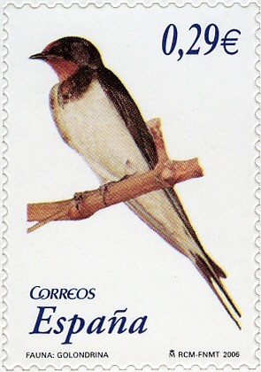 Colnect-581-683-Barn-Swallow-Hirundo-rustica.jpg