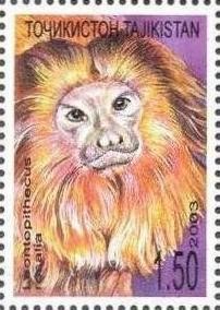 Colnect-1103-140-Golden-Lion-Tamarin-Leontopithecus-rosalia.jpg