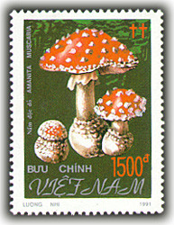 Colnect-1636-696-Amanita-muscaria.jpg