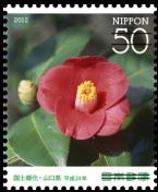 Colnect-1997-519-Camellia-japonica.jpg