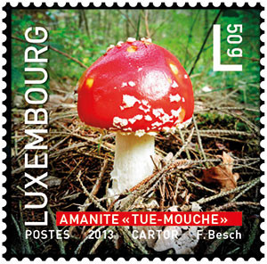 Colnect-2163-178-Amanita-Muscaria.jpg