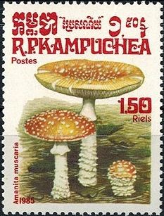 Colnect-2906-467-Amanita-Muscaria.jpg