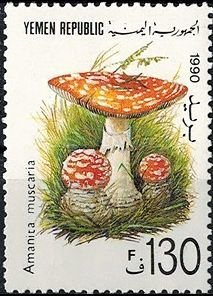 Colnect-2943-494-Amanita-muscaria.jpg