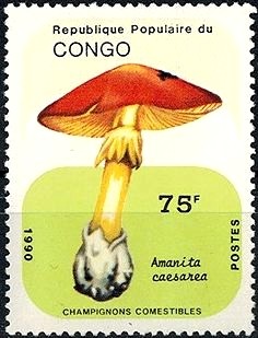 Colnect-2944-272-Amanita-caesarea.jpg