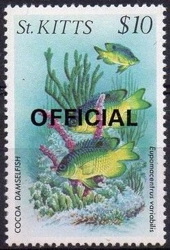 Colnect-3681-689-Cocoa-damselfish---overprinted.jpg