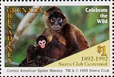 Colnect-4373-715-Central-American-spider-monkeys.jpg