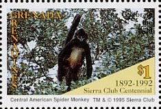 Colnect-4373-717-Central-American-spider-monkeys.jpg