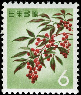 Colnect-5526-442-Sacred-Bamboo-Nandina-Domestica.jpg