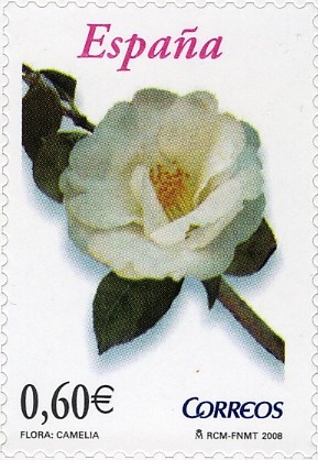 Colnect-572-810-Camellia-japonica.jpg