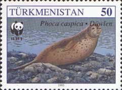 Colnect-1093-474-Caspian-Seal-Phoca-caspica.jpg