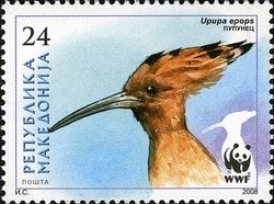 Colnect-1449-021-Eurasian-Hoopoe-Upupa-epops.jpg