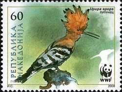 Colnect-1449-023-Eurasian-Hoopoe-Upupa-epops.jpg