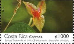 Colnect-1451-579-Lepanthes-ciliisepala.jpg