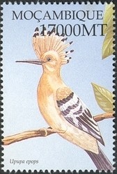 Colnect-1486-309-Eurasian-Hoopoe-Upupa-epops.jpg