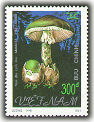 Colnect-1636-694-Amanita-phalloides2.jpg