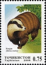 Colnect-1739-141-European-Badger-Meles-meles.jpg