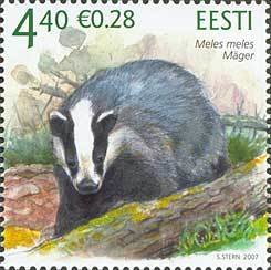 Colnect-190-609-European-Badger-Meles-meles.jpg