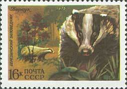 Colnect-194-647-European-Badger-Meles-meles.jpg