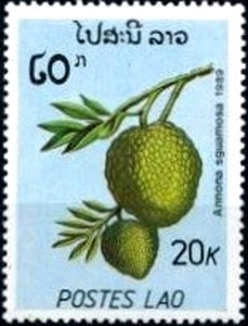 Colnect-1990-627-Annona-sguamosa.jpg