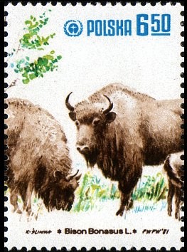 Colnect-1997-633-European-Bison-Bison-bonasus.jpg