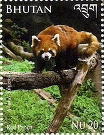 Colnect-2461-128-Red-Panda-Ailurus-fulgens.jpg