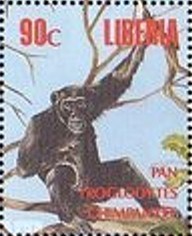 Colnect-2659-694-Chimpanzee-Pan-troglodytes.jpg