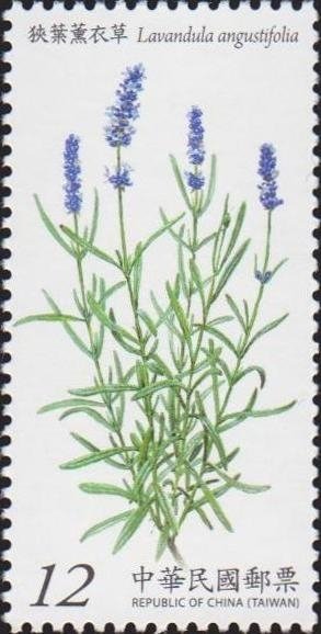 Colnect-2978-944-Lavandula-angustifolia.jpg