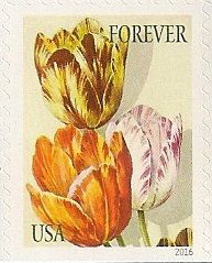 Colnect-3148-726-Botanical-Art---Tulips.jpg